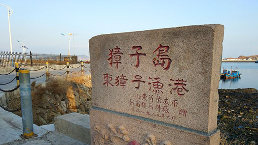 大量外購扇貝再加工？深交所再對獐子島發關注函